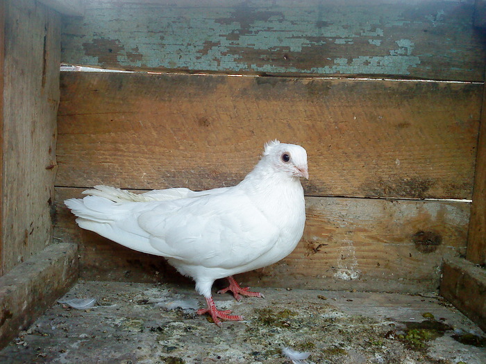 DSC00922 - E- PUI 2010
