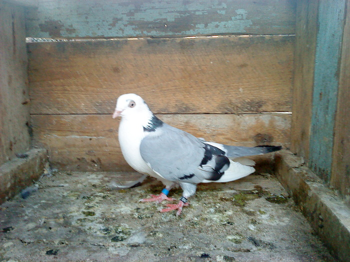 DSC00937 - E- PUI 2010