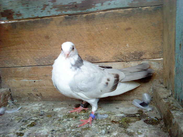 DSC00942 - E- PUI 2010