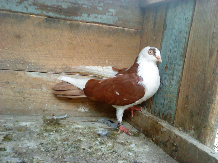 DSC00943 - E- PUI 2010