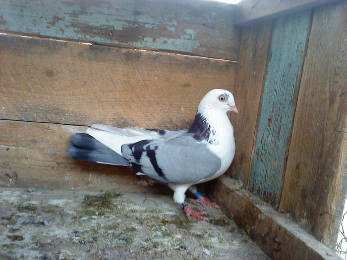 DSC00946 - E- PUI 2010
