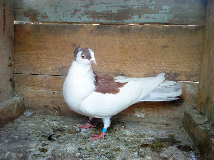 DSC00952 - E- PUI 2010