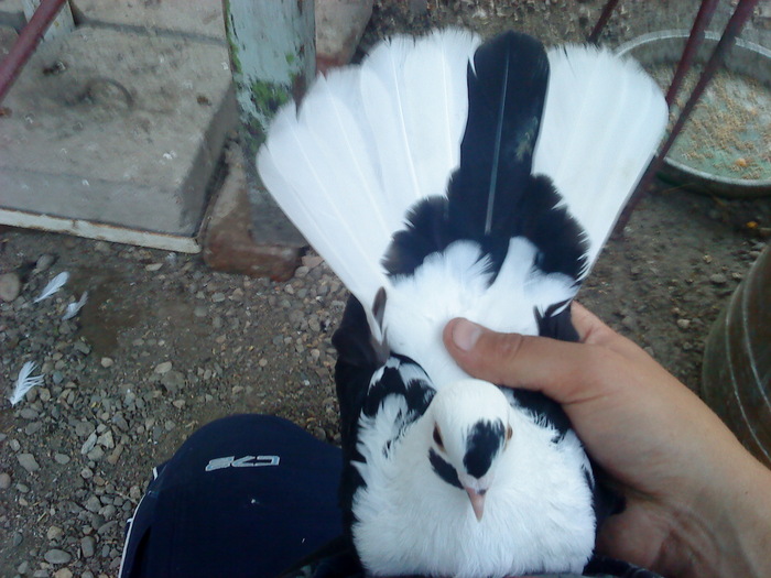 DSC00960 - E- PUI 2010