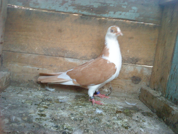 DSC00961 - E- PUI 2010