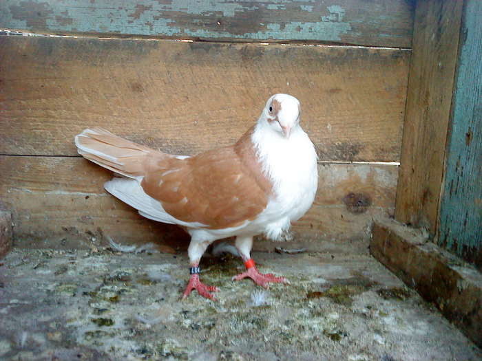 DSC00962 - E- PUI 2010