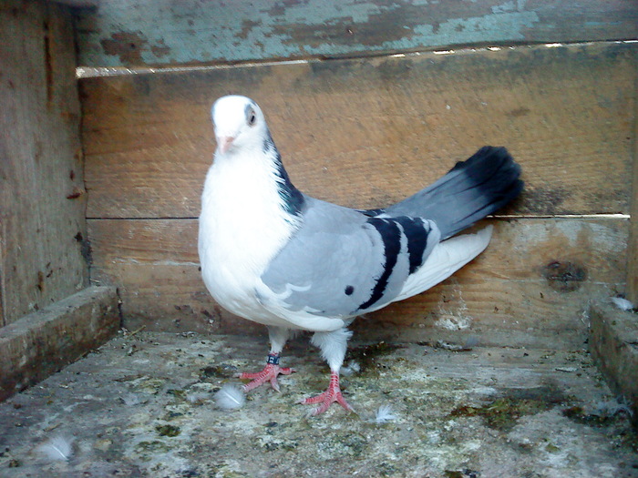 DSC00969 - E- PUI 2010