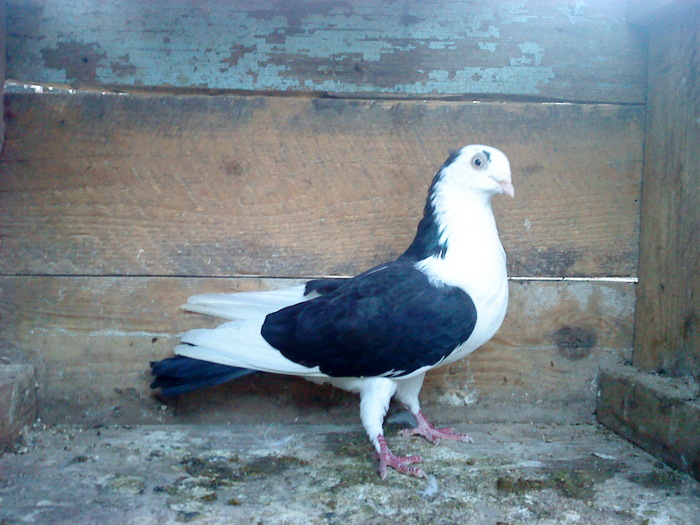 DSC00995 - E- PUI 2010