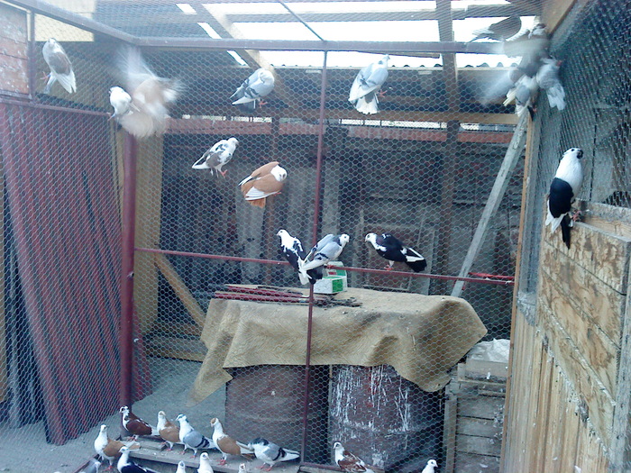 Pui 2010 - E- PUI 2010