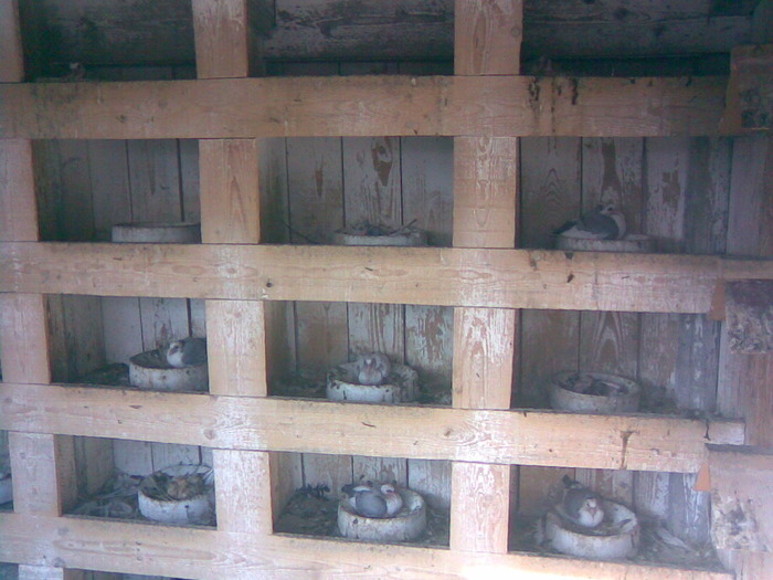 13902300_XOFNIHGGI - E- PUI 2010