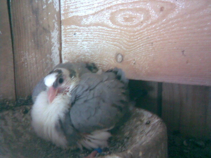 13902347_XYWMJEHDK - E- PUI 2010