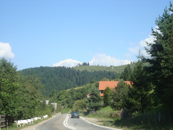 DSC01612 - 6 Excursie2010 Neamt si Suceava