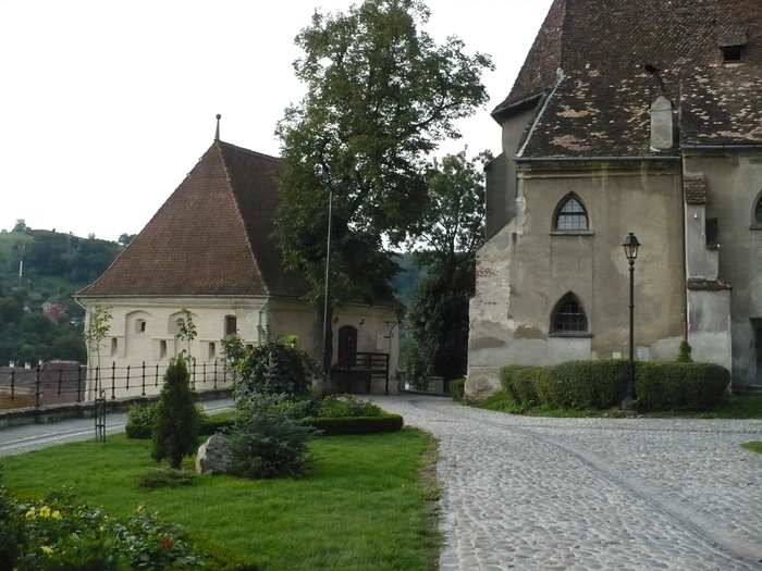 P1040535 - Sighisoara