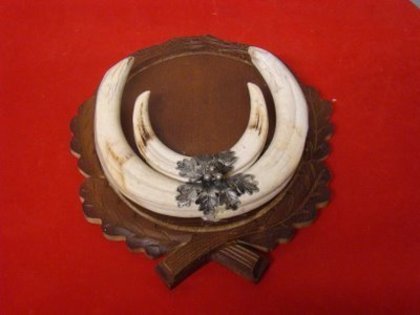 25 de cm ( CM_95 )180€