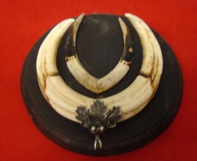 27 de cm ( CM_135 )200€