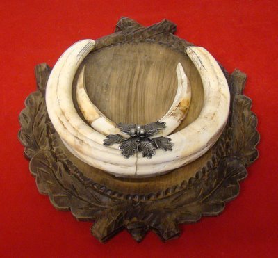 28 de cm ( CM_145 )210€