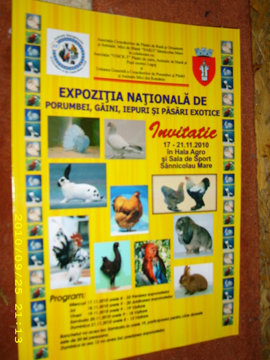 HDP_0003 - EXPOZITIE NATIONALA A UGCPPAM ROMANIA LA SANNICOLAU- MARE 17- 21 Noiembrie 2010