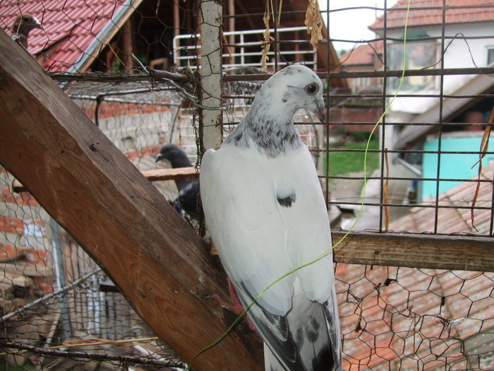 DSCF1559