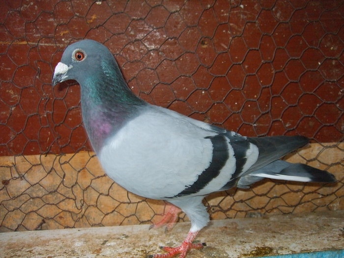 DSCF1568