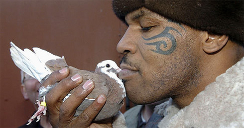 mike-tyson-porumbei