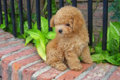 3214554851_ea3c52685f