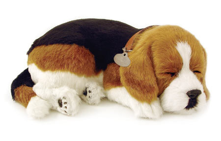 Beagle - BEAGLE