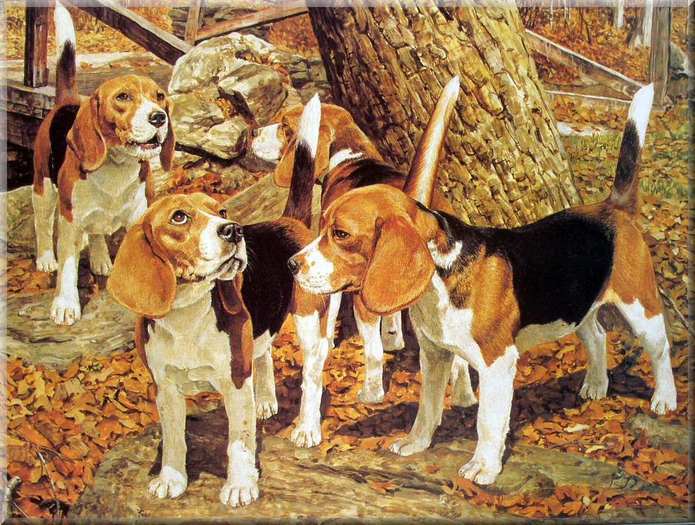 Beagles_avantzone_wallpaper - BEAGLE