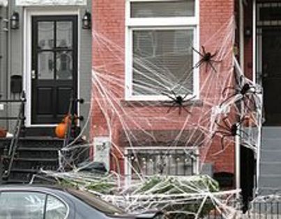 220px-HalloweenSpidersWashington_0388a