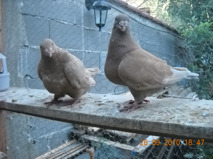 DSCN4573