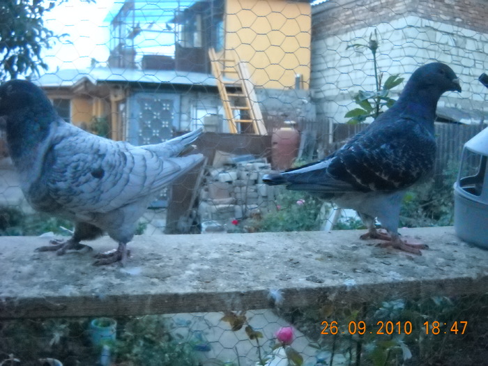 DSCN4576