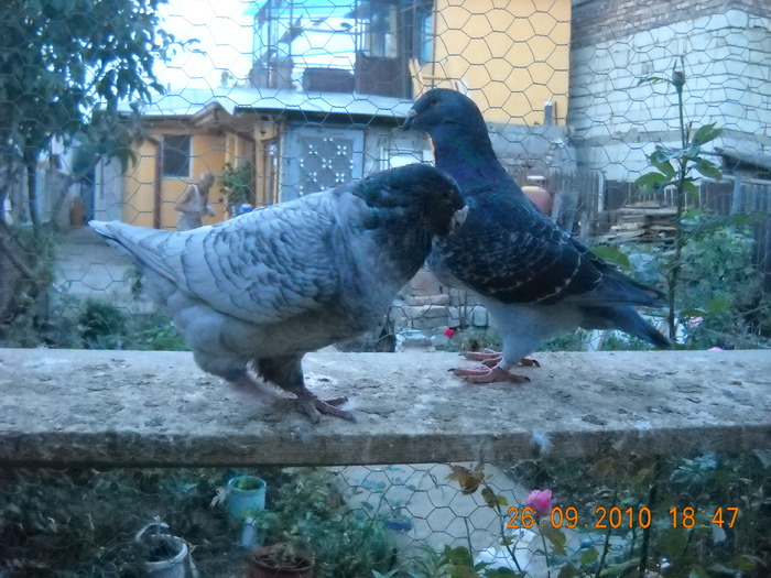 DSCN4577