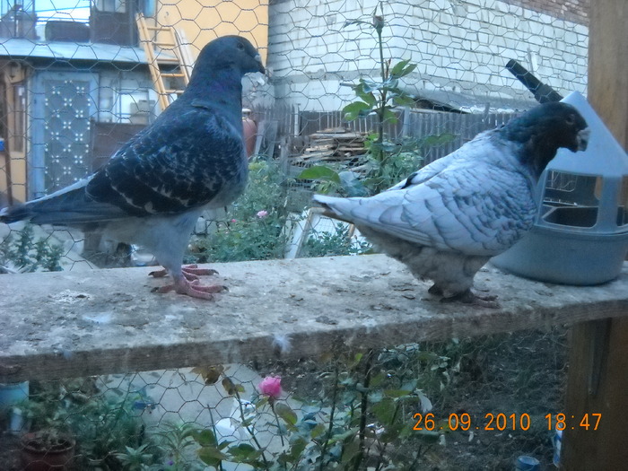 DSCN4579