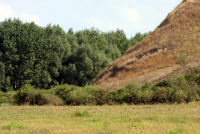 Mahmudia 053 - Delta Dunarii 2010