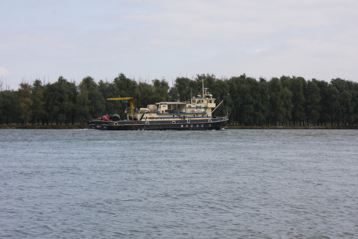 Mahmudia 095 - Delta Dunarii 2010