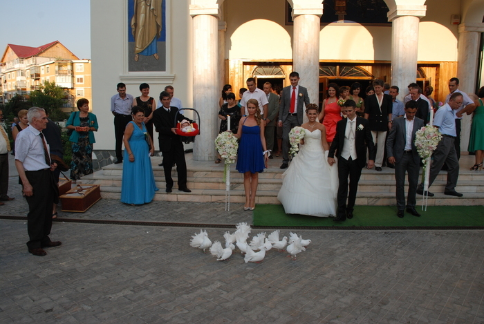 Inchiriem porumbei albi pentru nunta la cel mai mic pret !!! Tel.: 0767.509.208 - wedding white doves