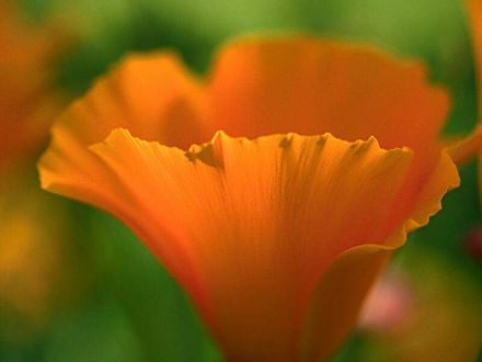 i_440_440_4302_4123_0[1]