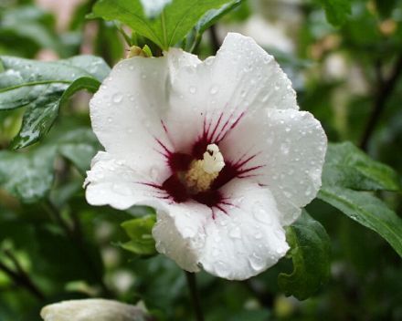 i_440_440_4302_4113_0[1]