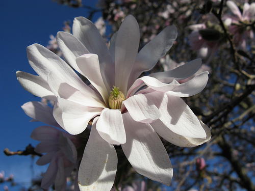 1-original - imagini preluate