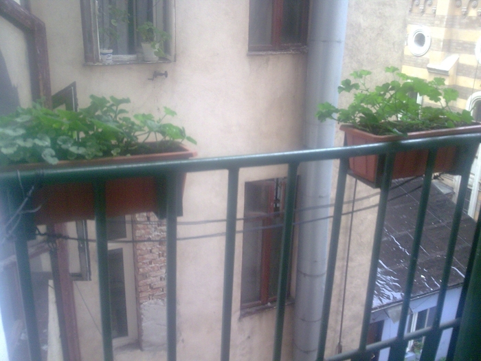 BALCON - FLORI APARTAMENT