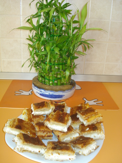 PLACINTA BULGAREASCA CU BRANZA