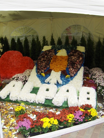 expo flora 29 - ZZ-EXPO FLORA BAIA MARE 2010