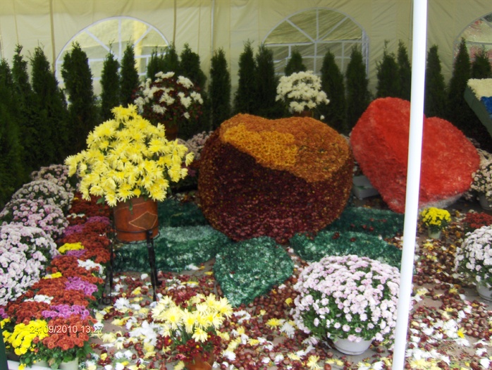 expo flora 31 - ZZ-EXPO FLORA BAIA MARE 2010