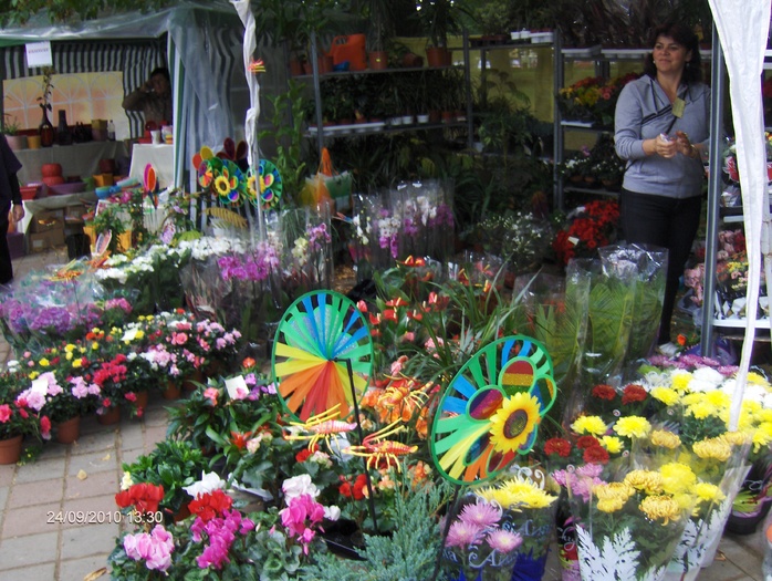 expo flora 40 - ZZ-EXPO FLORA BAIA MARE 2010