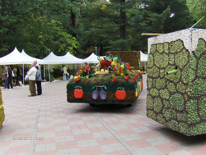 expo flora 6 - ZZ-EXPO FLORA BAIA MARE 2010