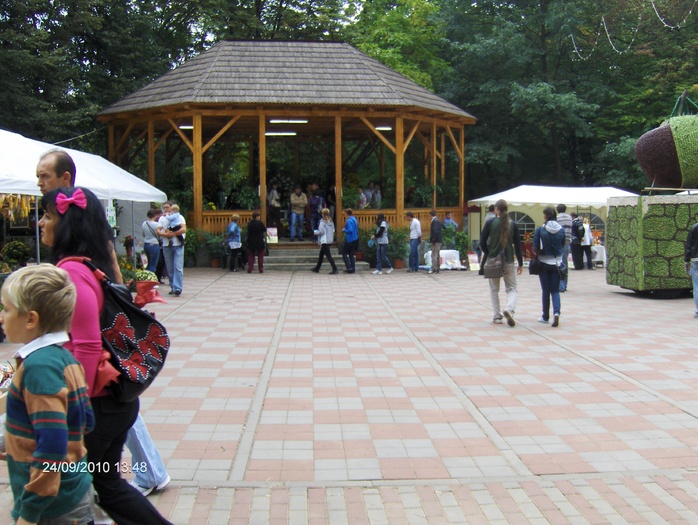 expo flora 75 - ZZ-EXPO FLORA BAIA MARE 2010