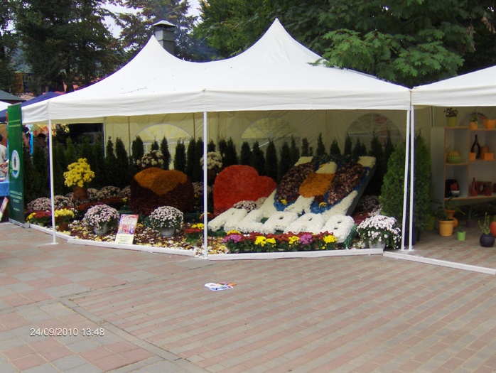expo flora 78 - ZZ-EXPO FLORA BAIA MARE 2010