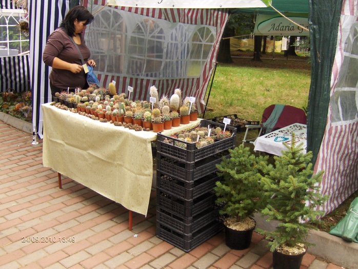 expo flora 79 - ZZ-EXPO FLORA BAIA MARE 2010