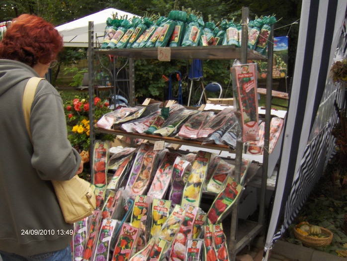 expo flora 82 - ZZ-EXPO FLORA BAIA MARE 2010