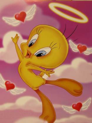 7614_tweety