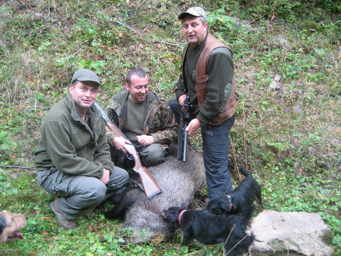 colegii de la Sibiu - 2010-2011 Sibiu