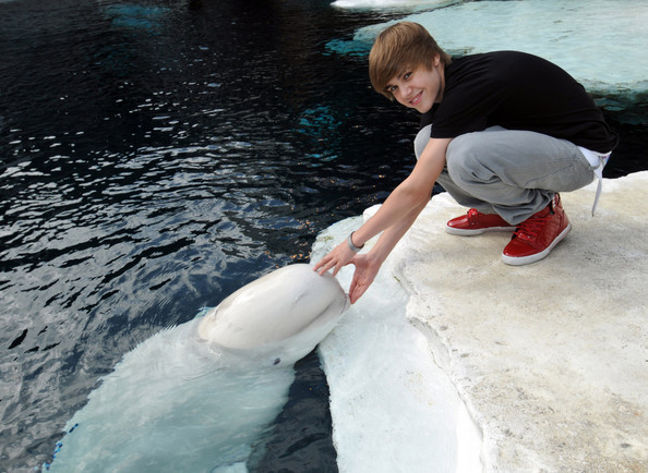  - In San Diego Sea World 19-05-10